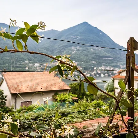 Vecchio Borgo * Торно